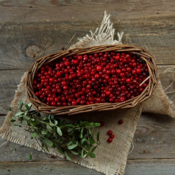 Клюква: польза и вред для организма