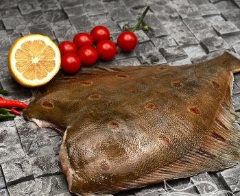 Польза камбалы для организма человека
