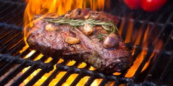 Буйвол: описание и полезные свойства мяса