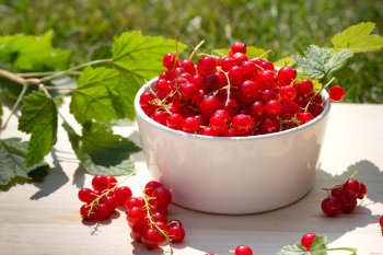 Красная смородина: польза и вред для здоровья