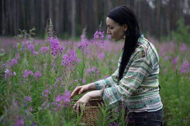 Иван-чай полезен при беременности