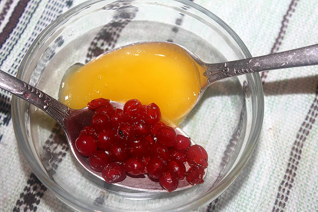 Калина с медом