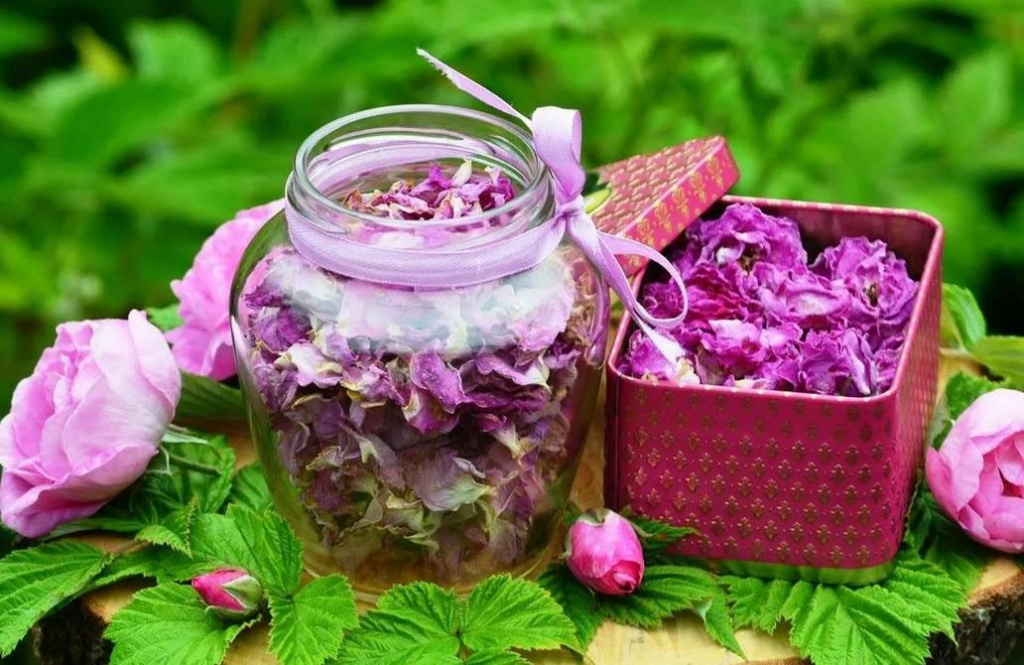Сушеная чайная роза