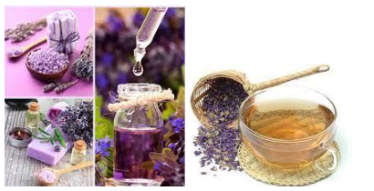 Медицина Lavandula