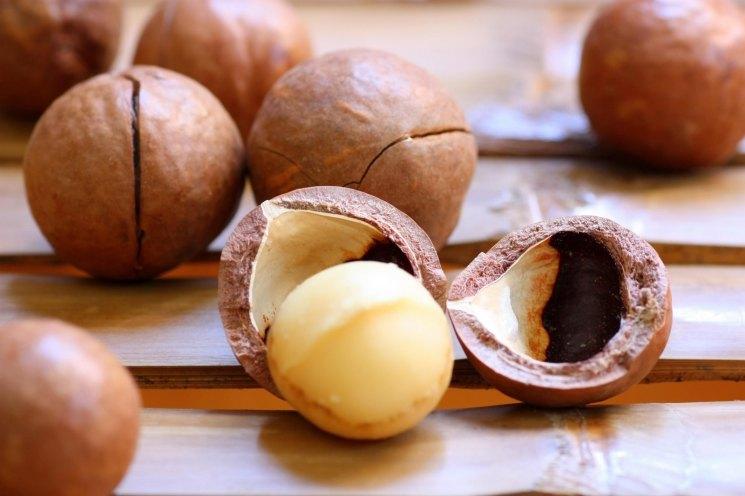 Орех и скорлупа макадамии