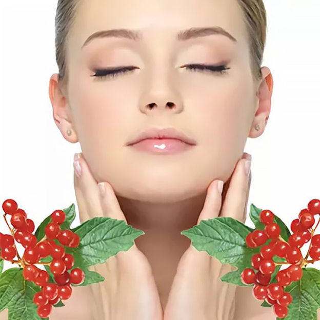 Калина полезна для женщин