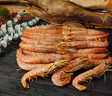 фотография Морепродукты