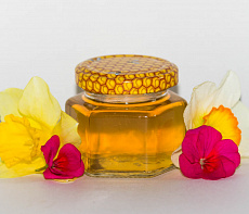 фотография Настойка восковой моли