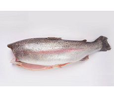 фотография Рыба