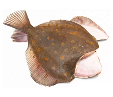 фотография Рыба