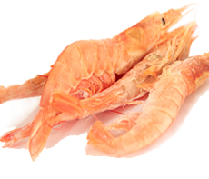фотография Морепродукты