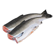 фотография Рыба