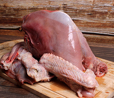 фотография Птица