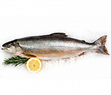 фотография Голец с/м (6 кг)