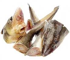 фотография Рыба