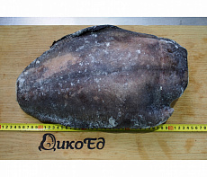 фотография Рыба