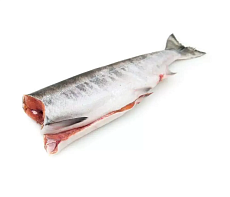 фотография Рыба