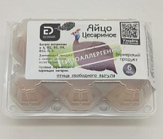 фотография Птица