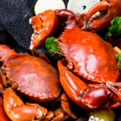 Польза и вред морепродуктов