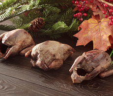 фотография Птица