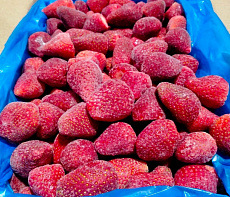 фотография Дикоросы