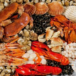 Какие бывают морепродукты