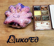 фотография Морепродукты