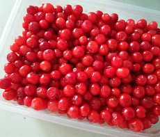 фотография Дикоросы