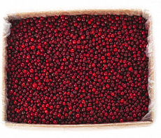 фотография Дикоросы