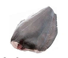 фотография Рыба