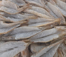 фотография Морепродукты