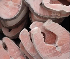 фотография Рыба