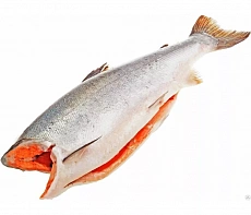 фотография Рыба