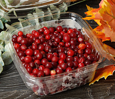 фотография Клюква дикая